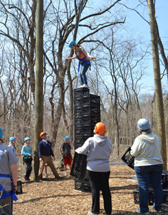 crate_climbing