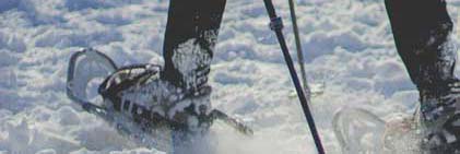 snowshoe snowshoe