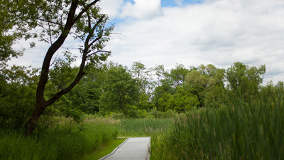 LincolnMarsh2