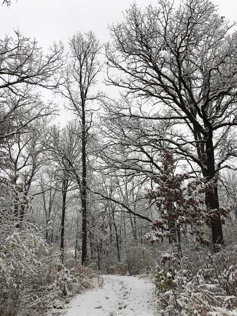 LM-Winter-Trails LM Winter Trails