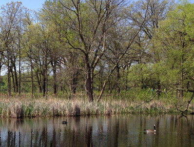 LincolnMarsh1