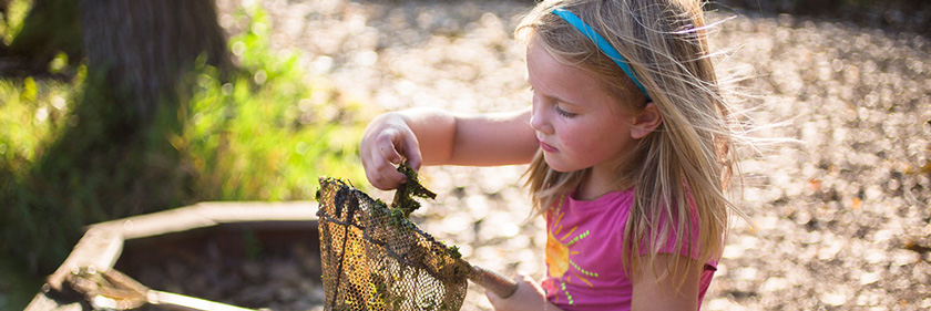 summer-program-lincoln-marsh-nature