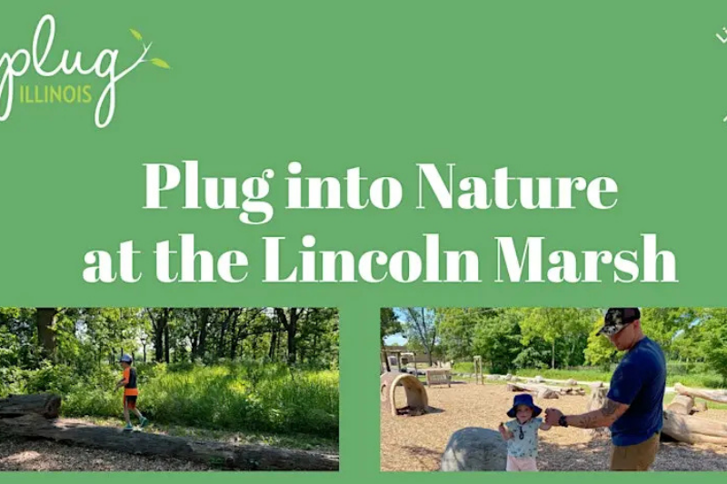 Plug Into Nature Photo